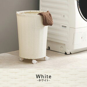 h[oXPbg  e 52L ^ X h ȒP  󂩂  lC t 傫 y LX^[t  h[  ₷ q