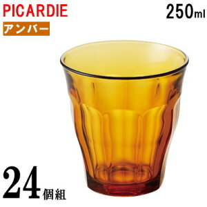 Rbv ϔMKX 250ml×24Zbg sJfBAo[ ^u[ yߐF AF ϔMKX [bp ϔM  KX H OX F uE  ƒp Ɩp J