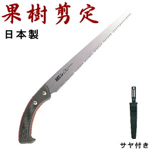y ̂ E { z s񂲎Eʎpt@񂲂̂ inF300mmj Tt y񂲎/ь/S/񂲂̖/ʎ/}؂//߂ mRM/悭؂/Ɩp/