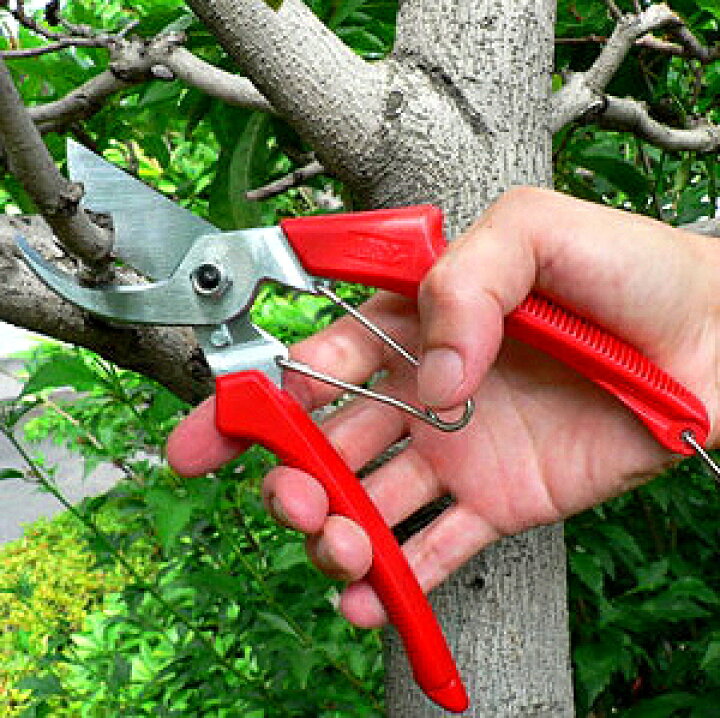 楽天市場 剪定ばさみ 剪定バサミ ブルーナーdx 日本製 軽量 丈夫 長持ち 家庭用 剪定鋏 園芸用品 庭 手入れ道具 1dx ギフト アルス 敬老の日 ブルーナーデラックス 記念 おじいちゃん おばあちゃん 父の日 お父さん ガーデニング 贈り物 プレゼント 園芸