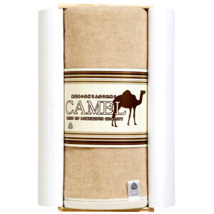 { ѕz VOp CAMEL іѕz ˔ i E[80 L20jy/H ~/Q//g/ۂۂ/Ђ//œ蓹/蕨/Mtg/v[g/