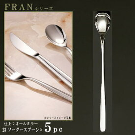 スプーン 5本セット 【FRANシリーズ】【仕上：オールミラー】 ソーダースプーン 196mm×5本 【日本製/洋食器/ステンレス/カトラリー/フラン/業務用/喫茶店/カフェ/レストラン/家庭用/キッチン用品/フロートグラス用 パフェ用/マドラー にも/柄が長い】