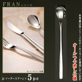 スプーン 5本セット 【FRANシリーズ】【仕上：オールつや消し】 ソーダースプーン 196mm×5本 【日本製/洋食器/ステンレス/カトラリー/フラン/業務用/喫茶店/カフェ/レストラン/家庭用/キッチン用品/フロートグラス用 パフェ用/マドラー にも/柄が長い】