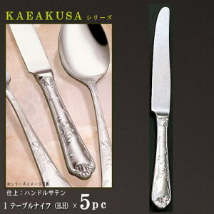 iCt 5{ Zbg yKARAKUSAV[Yz e[uiCt iH.Hj 243mm×5{ dndl y傫߃TCY/{/mH/XeX/Jg[//Ɩp/ze/Xg/R[Xp/Lb