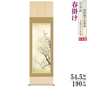 | Ԓ t| c| g~ jq{\ 5 ˔ 1 {  敡 | t { a i ~̉  g  ߂ł CeA fG 