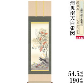 楽天市場 南天 千両 万両の通販