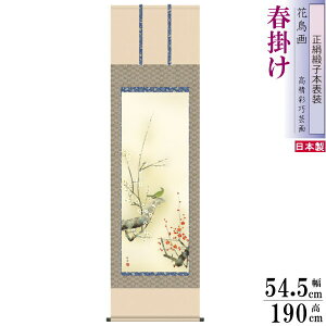  | Ԓ t| c| g~ jq{\ 5 ˔ 1 {  敡 | t { a  i ߂ł ؂₩ CeA fG ~̉