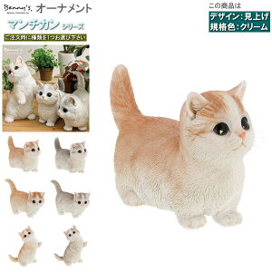 �L�̒u���� ���킢�� �}���`�J�� �I�[�i�����g 1�� ���S6����1���I�щ����� �q�Q�t�� �Z���f�U�C�� ���O ���� ���� �� �I�u�W�F ���蕨 �L�G�� �˂��O�b�Y �׃j�[�Y�L���b�g ���� �u�� �C