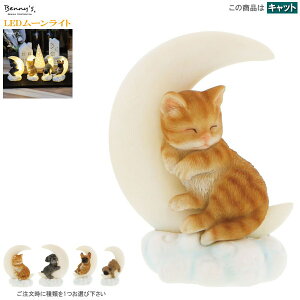 CeACg LED[Cg 1 I Lbg ViEU[ t`u pO Cg 킢 ドCg RpNg  ̏ LG G ˂   fUC [