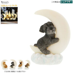 CeACg LED[Cg 1 I Lbg ViEU[ t`u pO Cg 킢 ドCg RpNg  ̏ LG G ˂   fUC [