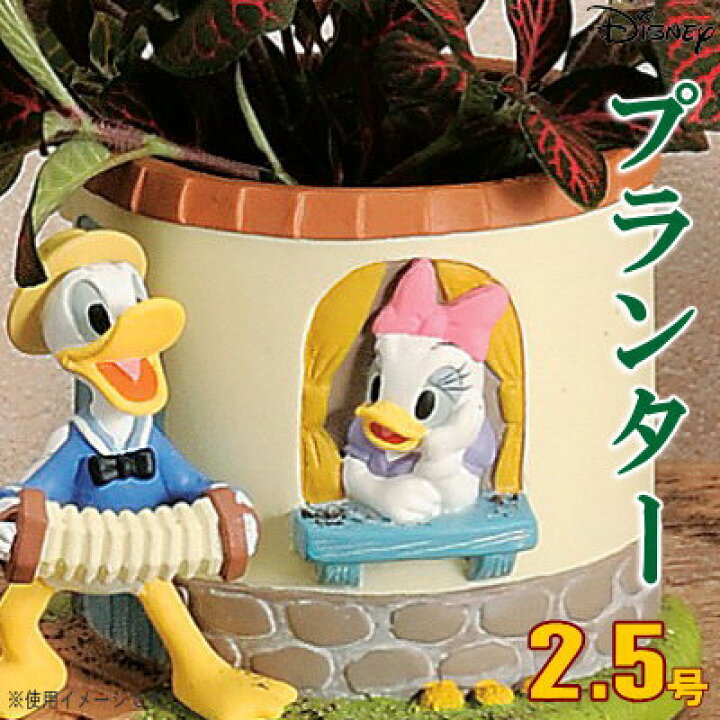 楽天市場 プランター 2 5号 小さい 植木鉢 窓辺 ドナルドダック デイジーダック ディズニー キャラクターグッズ かわいい ドナルド オブジェ 玄関飾り 窓ぎわ おしゃれ 雑貨 ガーデニング 多肉植物 ハーブ インテリア 結婚 出産祝い ギフト プレゼント あす楽対応