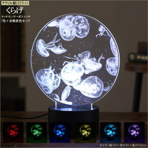 ANLEDCg 炰 d USB  Cg ԐڏƖ USBp   ̏  LEDCg 7FlI u^ CeACg k [v   C C̒ A