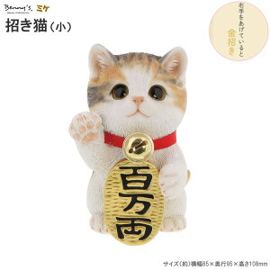 L u S E TCY ~P t N J^ N̂悢 ܂˂L LObY A 킢 LG ˂ lR  RpNg ֏ u Vzj X HX 