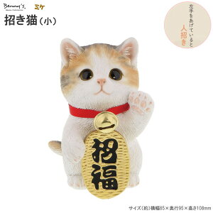 L u S  TCY ~P t N J^ N̂悢 ܂˂L A 킢 LG ˂ lR  RpNg u X X  JE^[ We W 