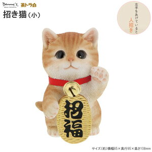 L u S  TCY g t N J^ N̂悢 ܂˂L A 킢 LG ˂ lR  RpNg u X X  JE^[ We W 