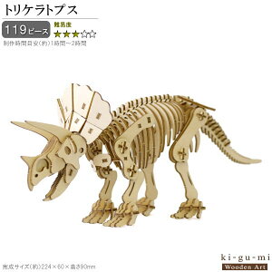 ̃pY ؐ gPgvX Փx3 pY  l y    D ObY  ki-gu-mi LO~ H  ݑ 3D G  ɂȂ  EbhpY C