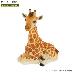 u I[ig L gToiV[Y O  킢 RpNg Aj}  A u    CeA IuWF  K[fI[ig L