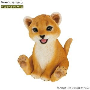 u I[ig CI gToiV[Y O  킢 RpNg Aj}  A u    CeA IuWF  K[fI[ig CI