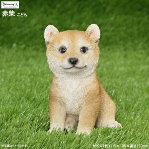 I[ig G u Ԏ ǂ  O 킢 Č Vo A ObY  Ck  q G  ֏   ̒u IuWF ׃j[YAj} 蕨  