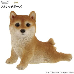 I[ig G Xgb`|[Y Vo  O 킢 A ObY Č  Ck  q G  ֏   u ̒u IuWF ׃j[YAj} 蕨 