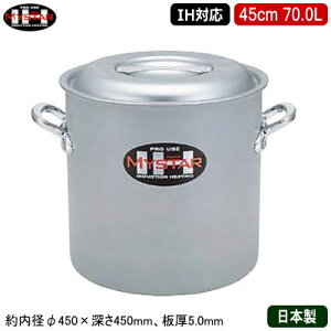 y 45cm IHΉ { A~ zMYSTAR A~IHV[Y IH  45cm 70.0Ly70L/Ɩp/ƒp/IH Ή/IHd Ή/I[MΉ/IH /IH 100V 200V//ϋv/Ɩp/