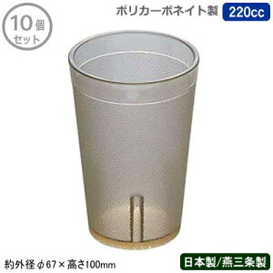 y|J[{lCg Rbv Ɩp 10g {z|J[{lCgRbv 220cc 10ZbgyV/O/ƒp/^u[/OX/Jbv/X^bLO/|J[{l[g/vX`bN/
