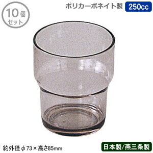 y|J[{lCg Rbv Ɩp 10g {z|J[{lCgRbv 250cc 10ZbgyV/O/ƒp/^u[/OX/Jbv/X^bLO/|J[{l[g/vX`bN/