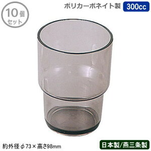 y|J[{lCg Rbv Ɩp 10g {z|J[{lCgRbv 300cc 10ZbgyV/O/ƒp/^u[/OX/Jbv/X^bLO/|J[{l[g/vX`bN/