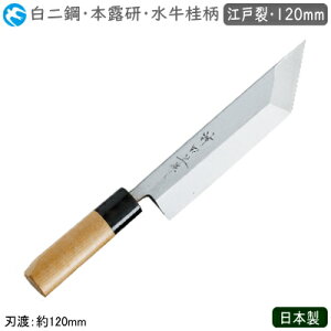 ]˗ 120mm { Ɩp _c a { j ]˗ 120mm|   a Elp ~[  ֓^ V ؂o^ in wJ AiS hW