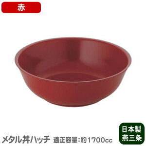 y[ XeX {z^ nb`@hdlEԁy[/ˊ///ǂԂ/aF24.5cm/KeʁF1700cc/H@gpzMH-