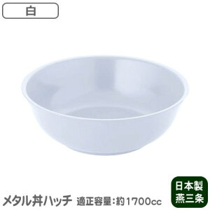 y[ XeX {z^ nb`@hdlEy[/ˊ///ǂԂ/aF24.5cm/KeʁF1700cc/H@gpzMH-