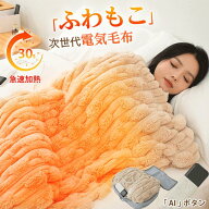 【在庫処分！今だけ26,800⇒4,680！★掛け敷き兼用★収納袋付き】電気毛布 2WAY 電気ブランケット 敷き毛…