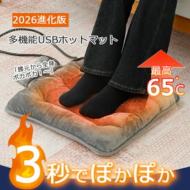 【父の日ギフト★スーパーセール期間限定2,980円！】ホットマット USB ミニ 電気マット 洗える ホットカーペット ペット 電気座布団 車 3秒速暖 3段階温度調節 温熱マット 防寒対策 過熱保護 発熱マット 足元 車載加熱パッド 省エネ ホットクッション ホットカーシート