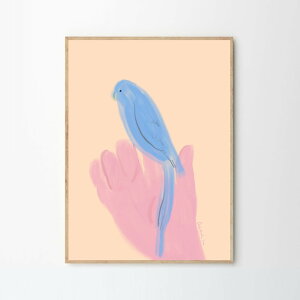 THE POSTER CLUB �|�X�^�[�N���u Parrot in Hand 30×40cm Oamul