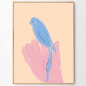 THE POSTER CLUB �|�X�^�[�N���u Parrot in Hand 50×70cm Oamul