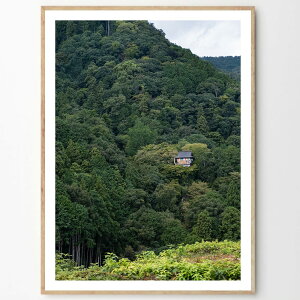 THE POSTER CLUB �|�X�^�[�N���u Kyoto 50×70cm Robin Skjoldborg