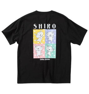 傫TCYY N񂿂V|PbgtTVc