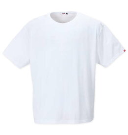 大きいサイズ★メンズ EDWIN2Pクルーネック半袖Tシャツ