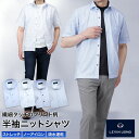 LEVIN UOMO 半袖 ニットシャツ プリント柄 ノーアイロン メンズ カッタウェイ 立ち衿 前開き ストレッチ 吸水速乾 形態安定 裾スクエア イージーケア 夏 清涼 クールビズ ビジネス カジュアル オシャレ プレゼント ギフト 誕生日 父の日