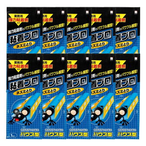 KOKUBO Sv lY~Ƃ nEX^ 1 10Zbg lY~߂ lY~ ˂ lY~߂V[g ˂݂Ƃ lY~SV[g SlY~߂ lY~V[g lY~΍ ߊl vۍHƏ