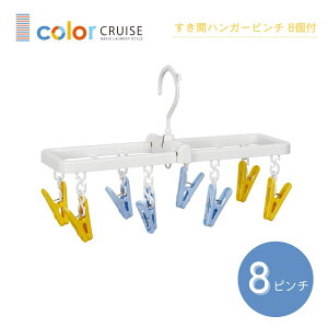 KOKUBO color CRUISE ԃnK[s` 8t vۍHƏ