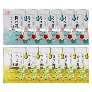 Ize ق됌 JC ~̍ k̍ 12Zbg   킢  av[g  j   v`Mtg   ^Cv   