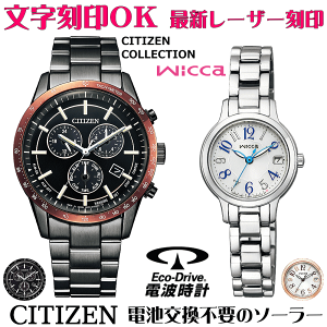 yAEHb` rv    yAEHb`̔ drsv \[[EHb` CITIZENRNV EBbJ wicca GREhCu T[rX NX}XMtg Jbv