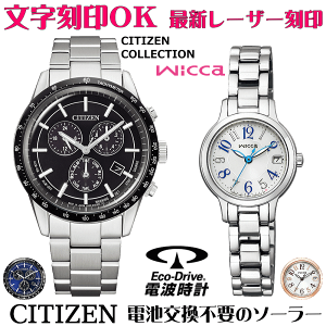 yAEHb` rv    yAEHb`̔ drsv \[[EHb` CITIZENRNV EBbJ wicca GREhCu T[rX NX}XMtg Jbv