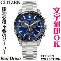 楽天市場】シチズン エコドライブ 2次電池 295-6900の通販