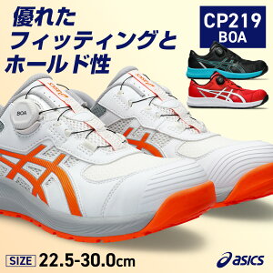 EBWu CP219 BOA 1273A092 ubN×K^/zCg×VbLOIW/NVbNbh×zCg 22.5-30.0cm