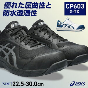 EBWu CP603 G-TX 1273A083 ubN×LAO[/zCg×}Ru[ 22.5-30.0cm