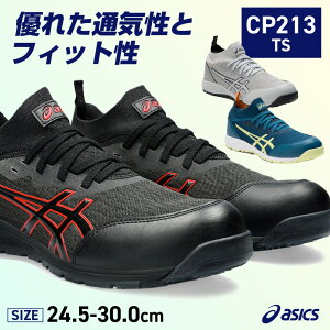 �E�B���W���u CP213 TS 1271A052 �O���V�A�O���[×�s�G�h�����g�O���[/�u���b�N×�u���b�N/�f�B�[�v�V�[�e�B�[��×�O���[�C�G���[ 24.5-30.0cm