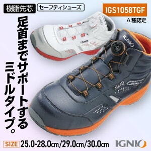 IGNIO(COjI) vXj[J[ IGS1058TGF lCr[/zCg 25.0`30.0cm _CSC ~hJbg