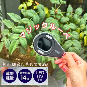 3R �X���[�A�[�� �f�W�^�������� �}�W�b�N���[�y 3R-MJL01 �u���b�N���C�g LED/UV���C�g�t�@��������